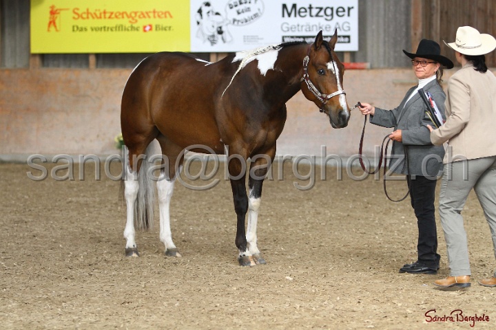 23-APHA SS_028.jpg